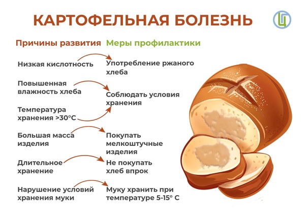 Мероприятия в торговой  сети по  предупреждению  заболевания  хлеба  картофельной  болезнью.
